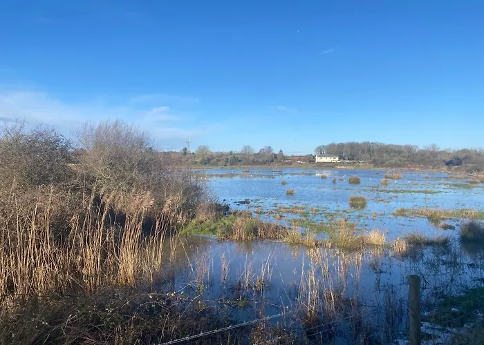 The Lodge On The Marsh